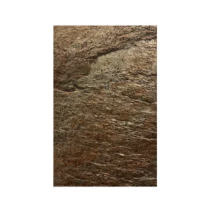 6240282000016314525 1.webp
