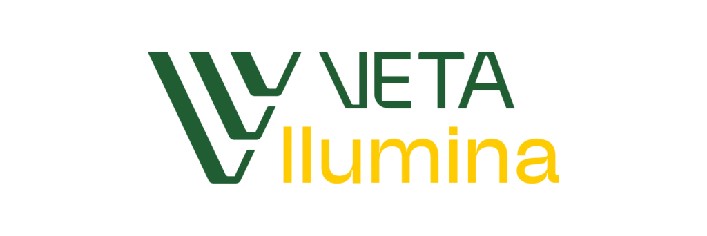 logo veta ilumina