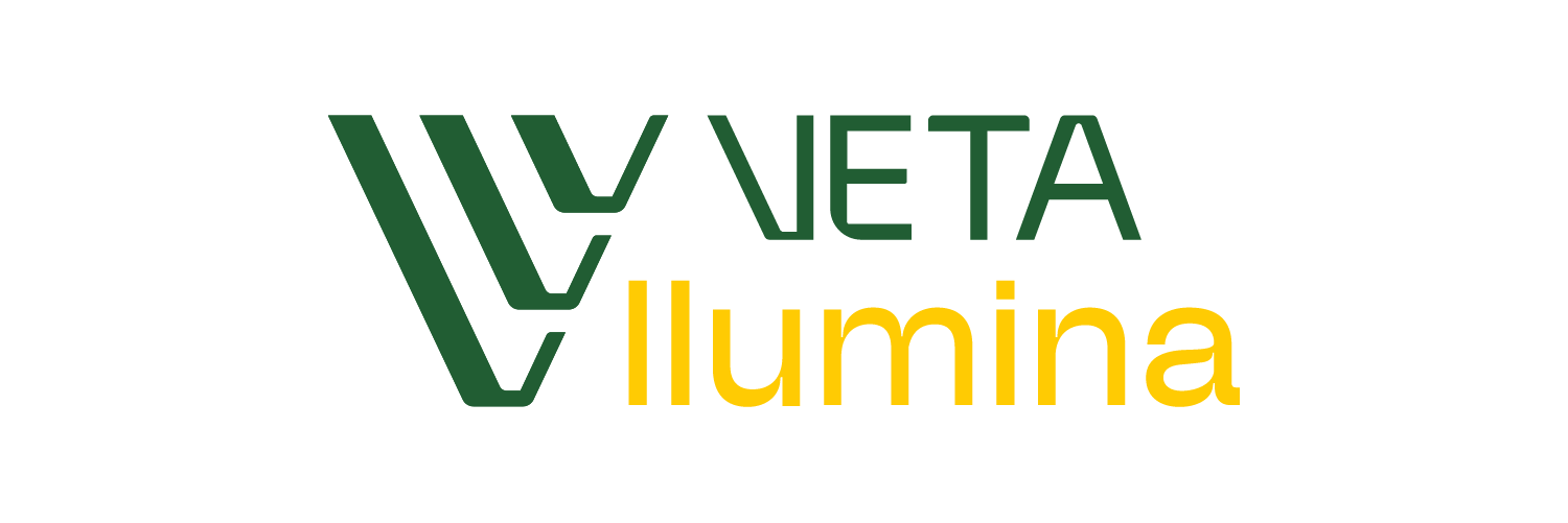logo veta ilumina